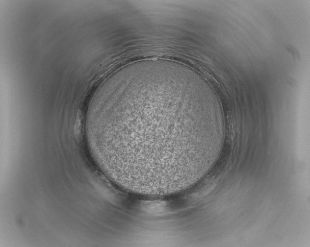 X0000116060266200912041900