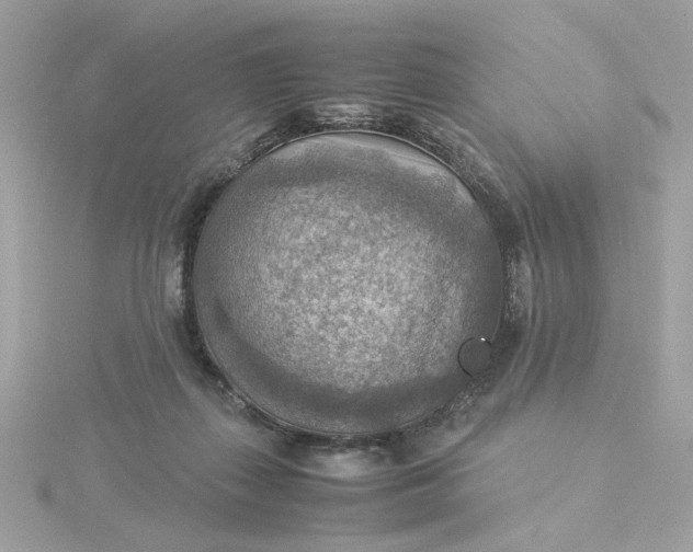 X0000116060267200912041900