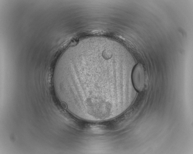 X0000116060268200912041900