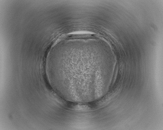 X0000116060270200912041900