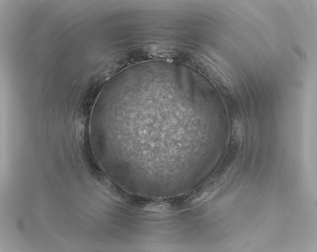 X0000116060271200912041900