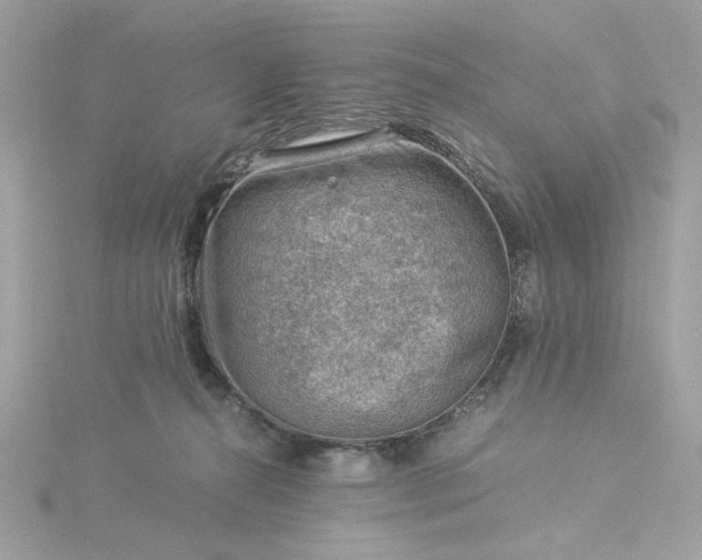 X0000116060272200912041900