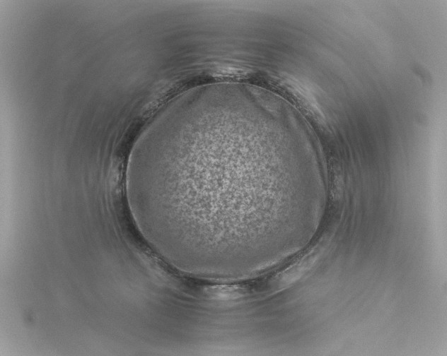 X0000116060273200912041900