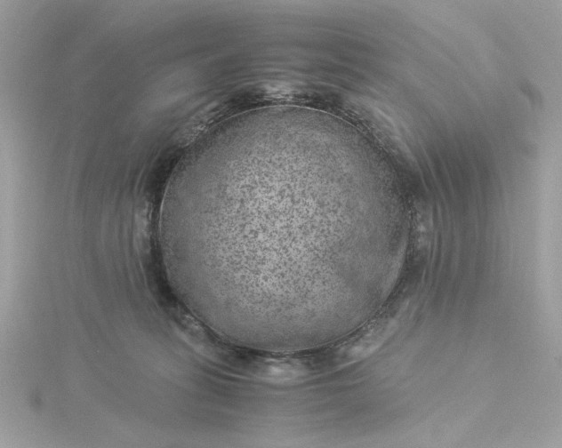 X0000116060275200912041900