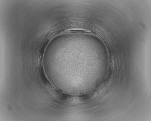 X0000116060276200912041900