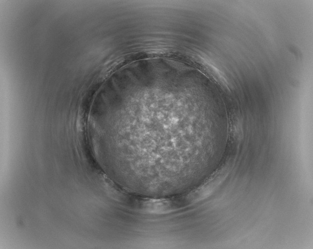 X0000116060277200912041900