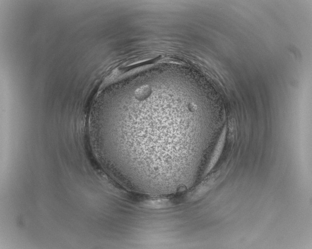 X0000116060278200912041900