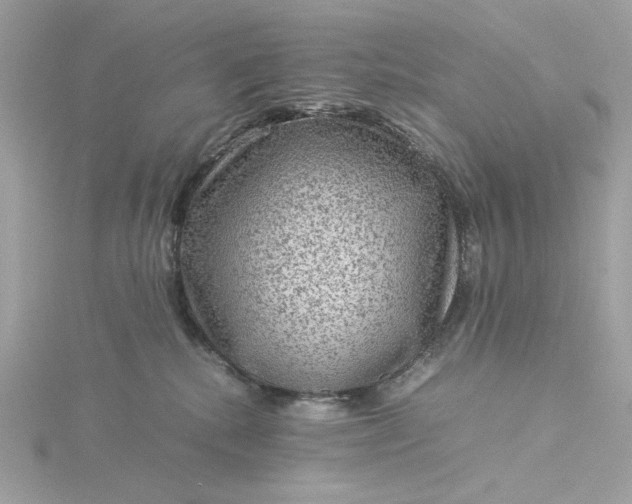 X0000116060280200912041900