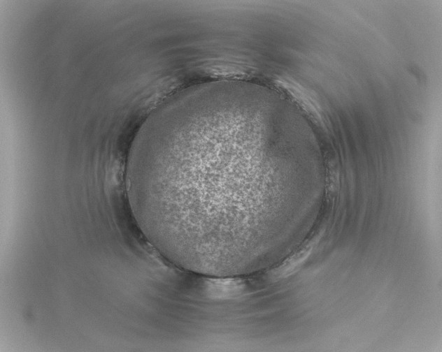 X0000116060281200912041900