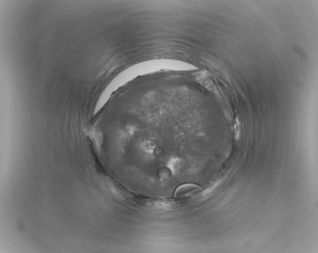 X0000116060282200912041900