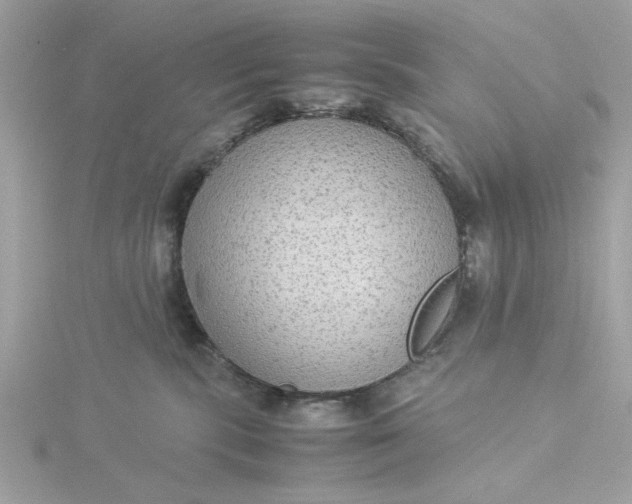 X0000116060283200912041900