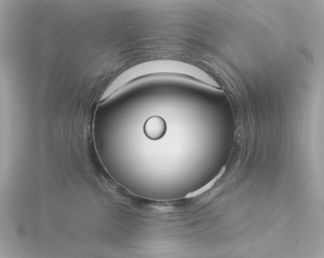 X0000116060284200912041900