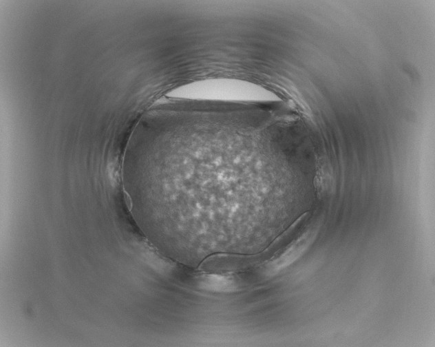 X0000116060285200912041900