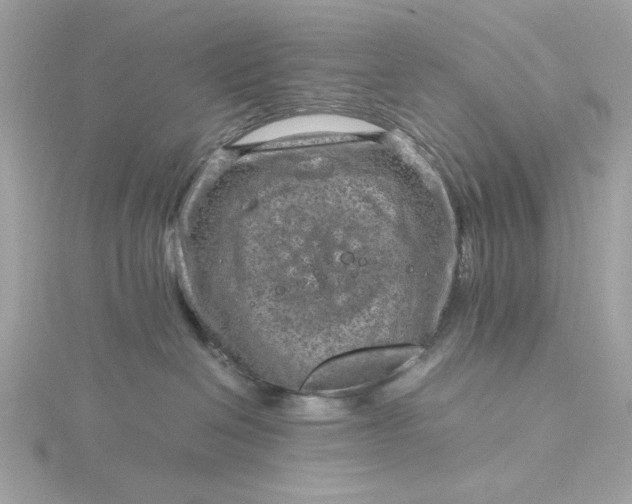 X0000116060286200912041900