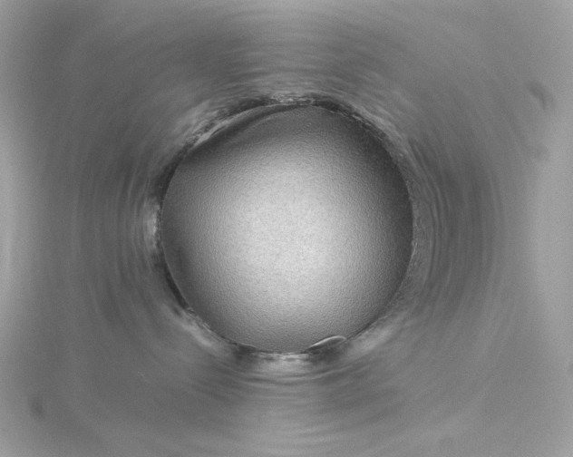 X0000116060288200912041900