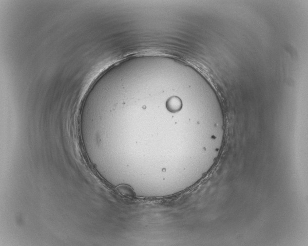 X0000116060289200912041900