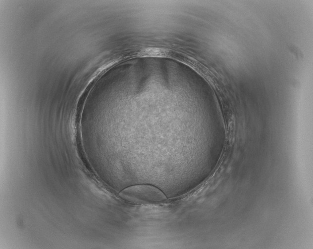 X0000116060290200912041900