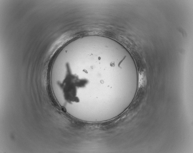 X0000116060291200912041900