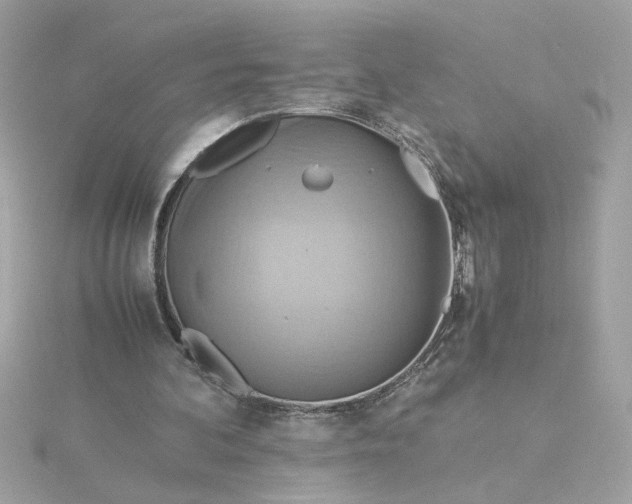 X0000116060292200912041900