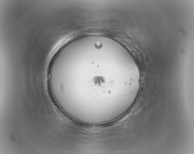 X0000116060293200912041900