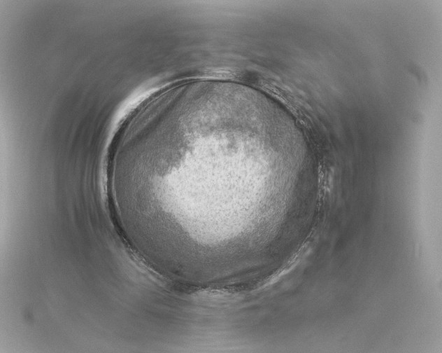 X0000116060294200912041900