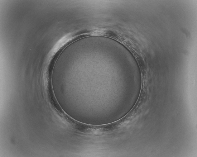 X0000116060295200912041900