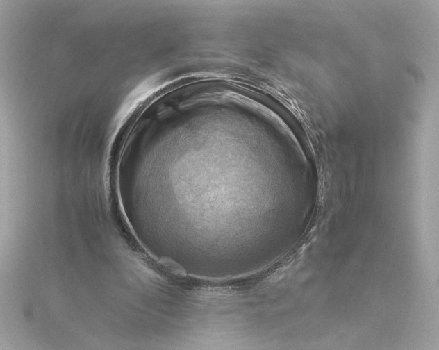 X0000116060296200912041900