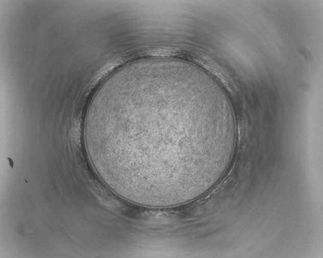 X0000116060297200912041900