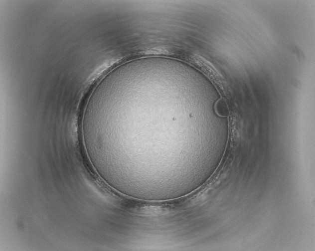 X0000116060298200912041900