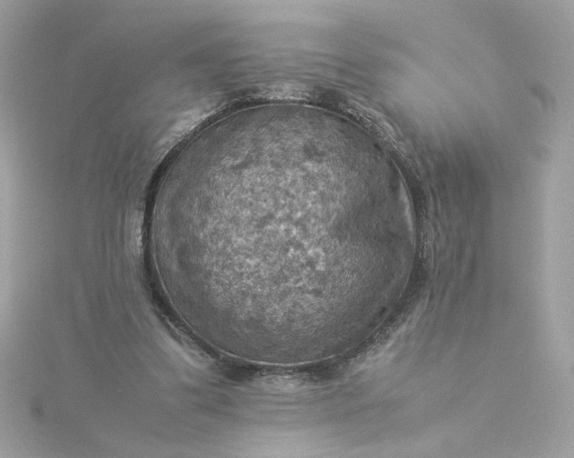 X0000116060299200912041900