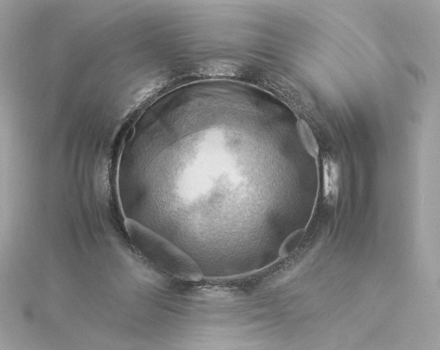 X0000116060300200912041900