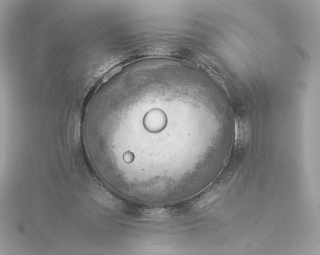 X0000116060301200912041900