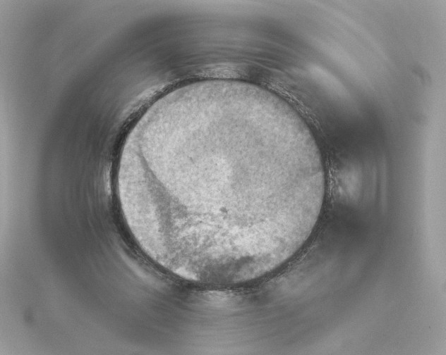 X0000116060302200912041900