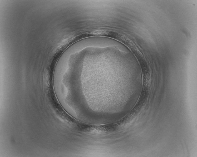 X0000116060303200912041900