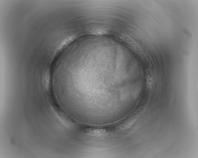 X0000116060304200912041900