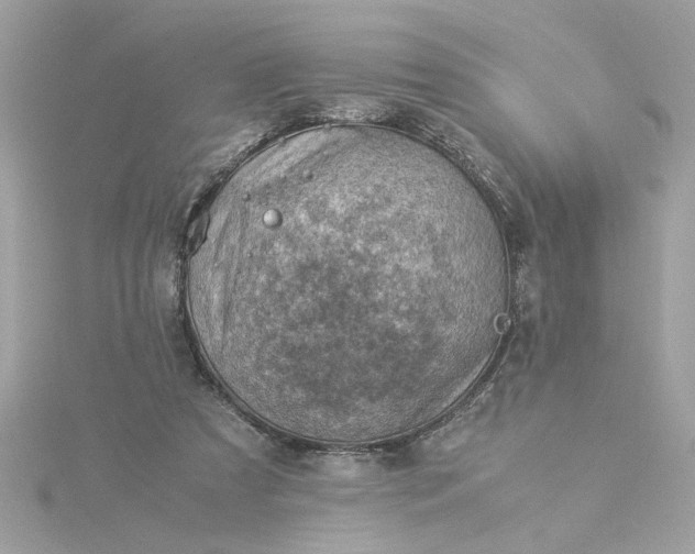 X0000116060305200912041900