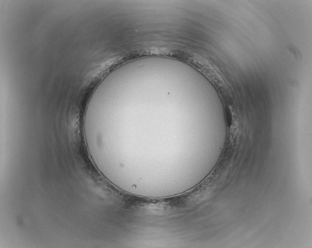 X0000116060306200912041859