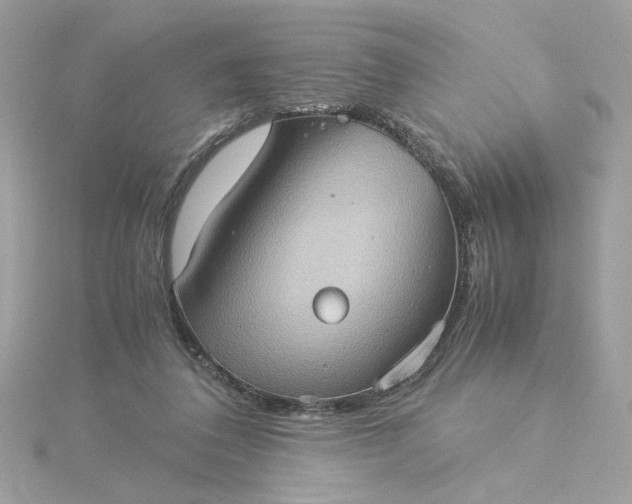 X0000116060308200912041859