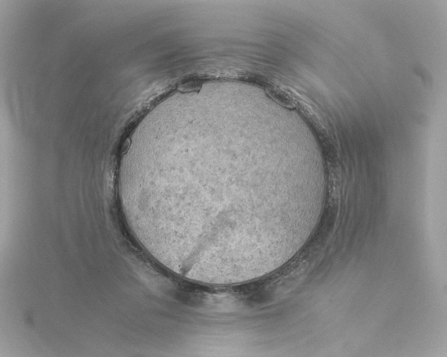 X0000116060309200912041859