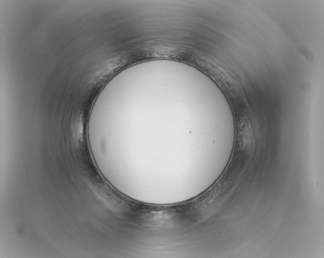 X0000116060310200912041859