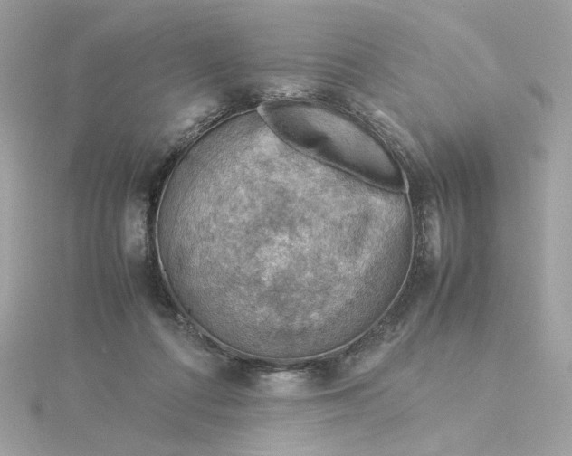 X0000116060312200912041859