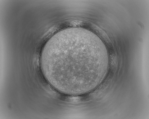 X0000116060313200912041859