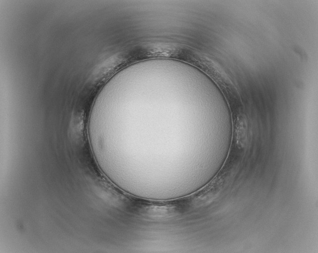 X0000116060314200912041859