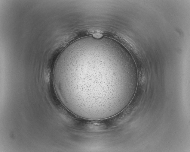 X0000116060315200912041859