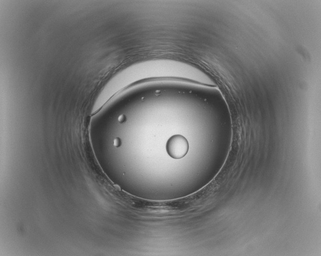 X0000116060316200912041859