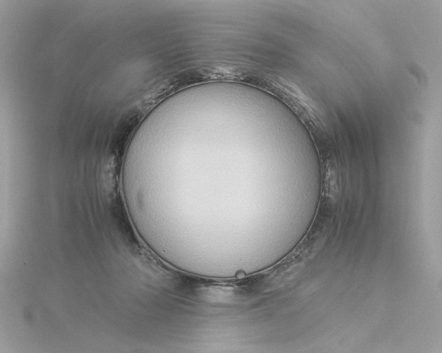 X0000116060318200912041859