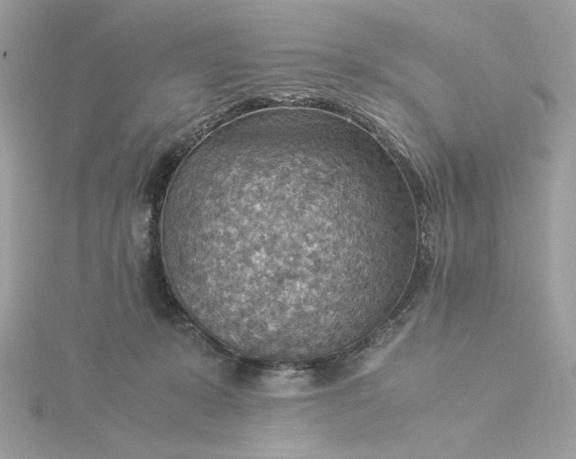 X0000116060319200912041859