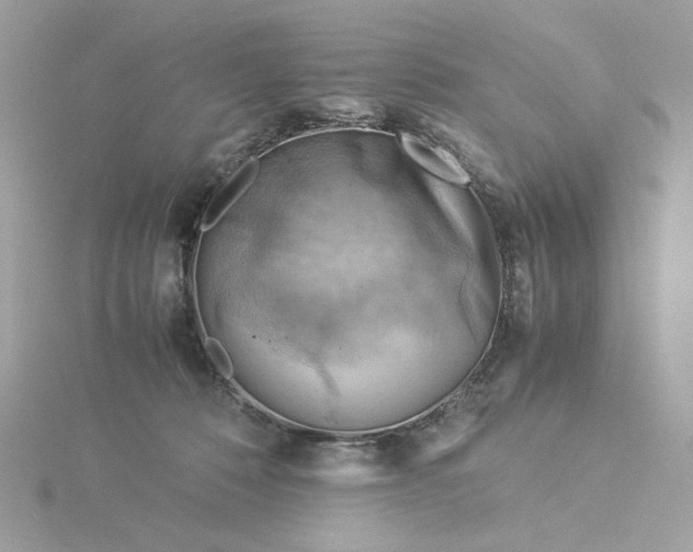 X0000116060320200912041859