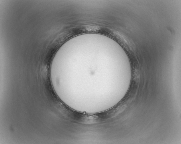 X0000116060321200912041859