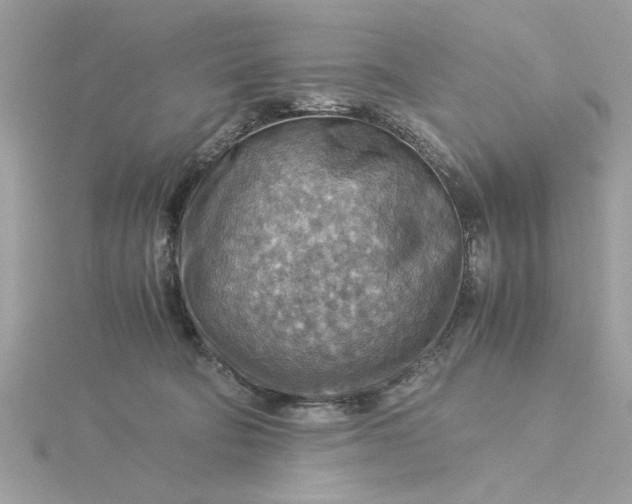 X0000116060322200912041859